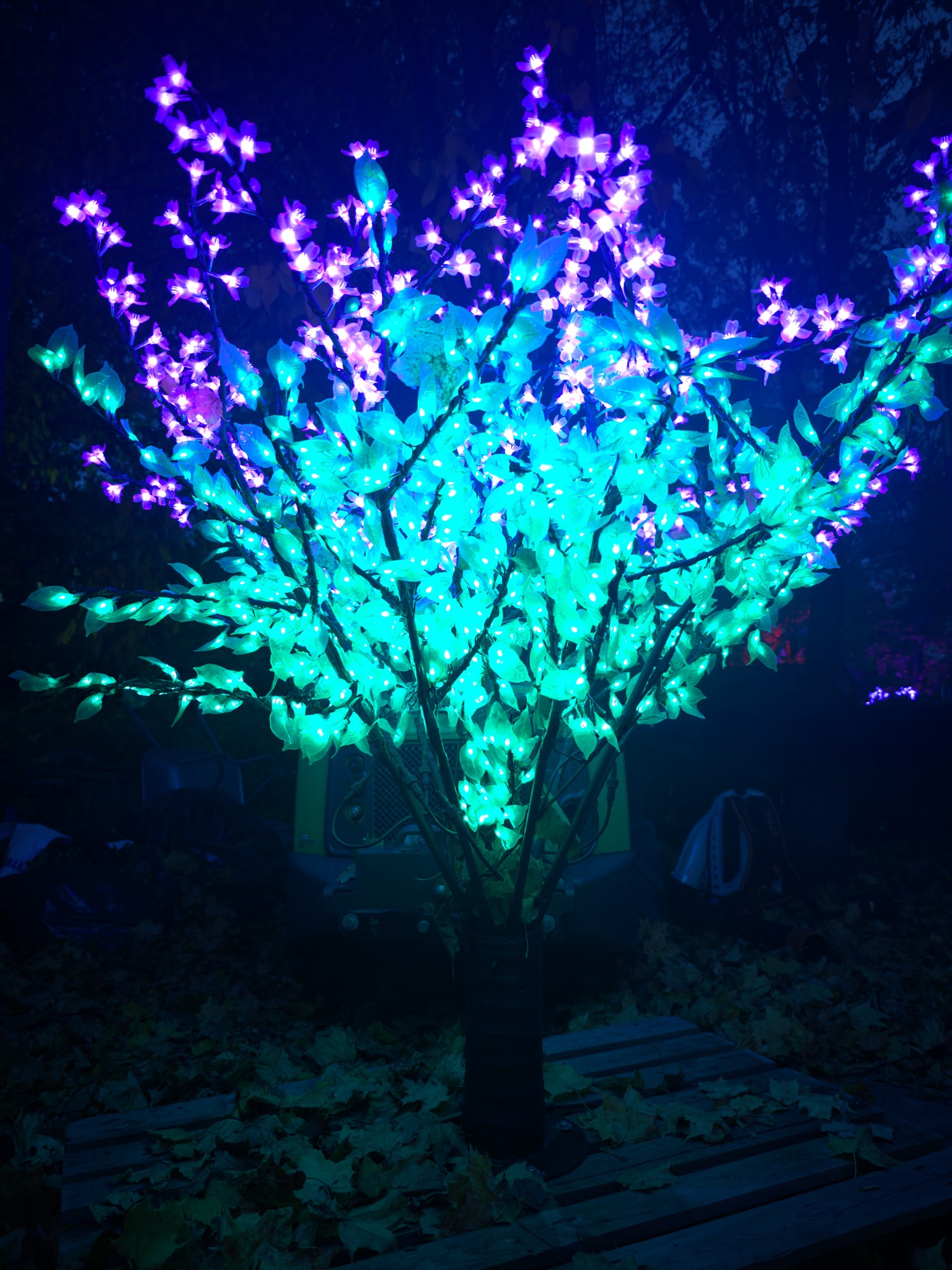 IMG 20251014 182924 copy